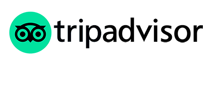 tripadvisor reviews